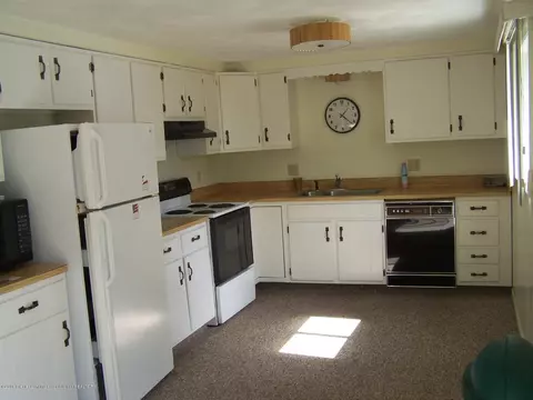 218 E Hamlin St, Eaton Rapids, MI 48827 photo 16