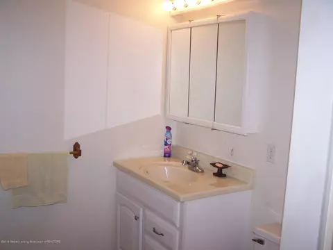 218 E Hamlin St, Eaton Rapids, MI 48827 photo 14