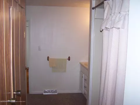 218 E Hamlin St, Eaton Rapids, MI 48827 photo 13
