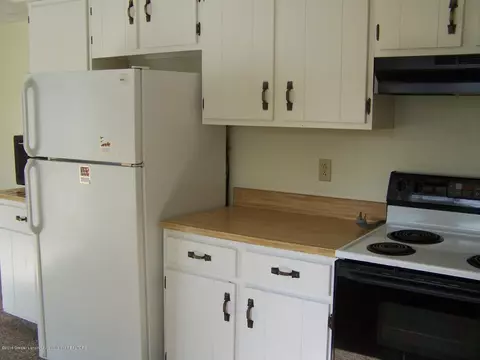 218 E Hamlin St, Eaton Rapids, MI 48827 photo 19