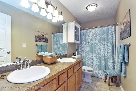 377 Split Rail, Williamston, MI 48895 photo 20