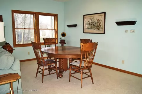 13634 Pearwood Dr, Dewitt, MI 48820 photo 10