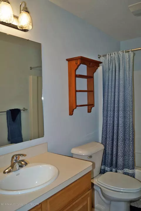 13634 Pearwood Dr, Dewitt, MI 48820 photo 33