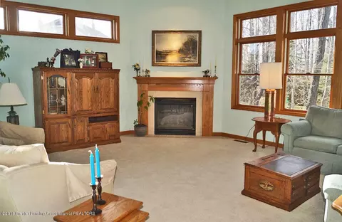 13634 Pearwood Dr, Dewitt, MI 48820 photo 7