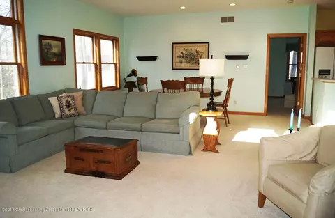 13634 Pearwood Dr, Dewitt, MI 48820 photo 9