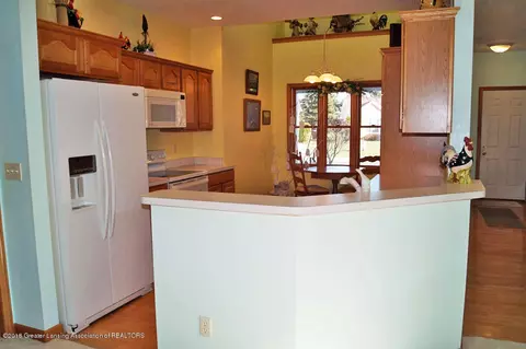13634 Pearwood Dr, Dewitt, MI 48820 photo 12