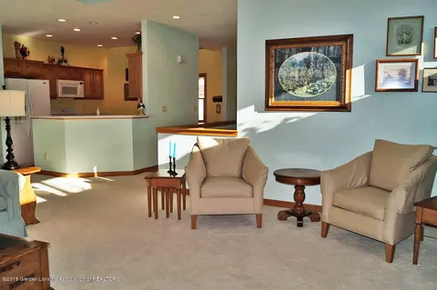 13634 Pearwood Dr, Dewitt, MI 48820 photo 8