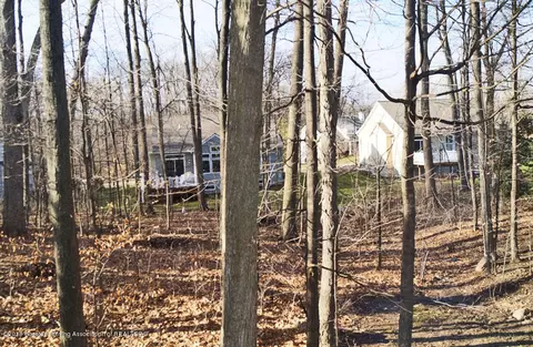 13634 Pearwood Dr, Dewitt, MI 48820 photo 34