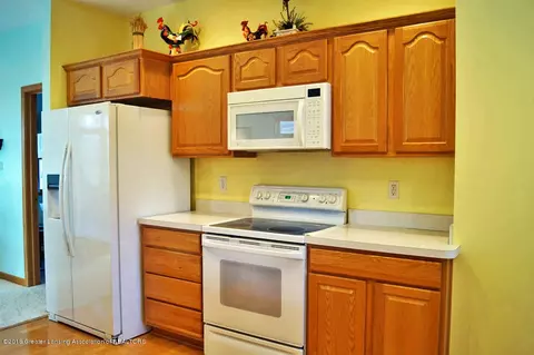 13634 Pearwood Dr, Dewitt, MI 48820 photo 14
