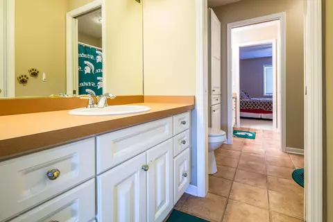13297 Blaisdell Dr, Dewitt, MI 48820 photo 32