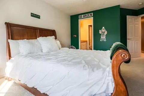 13297 Blaisdell Dr, Dewitt, MI 48820 photo 30