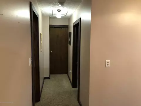 507 E Higham St, Saint Johns, MI 48879 photo 24