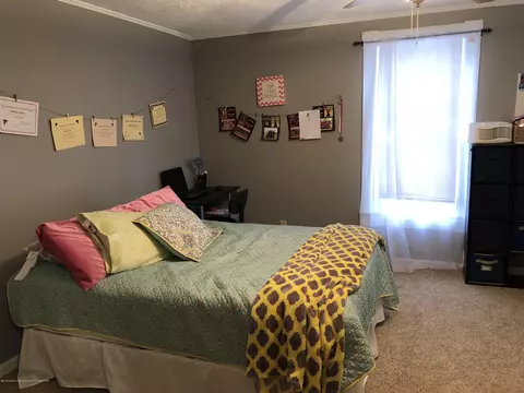 507 E Higham St, Saint Johns, MI 48879 photo 25