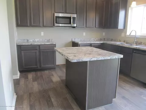 13815 Bauerle Rd, Dewitt, MI 48820 photo 10