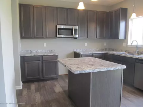 13815 Bauerle Rd, Dewitt, MI 48820 photo 11