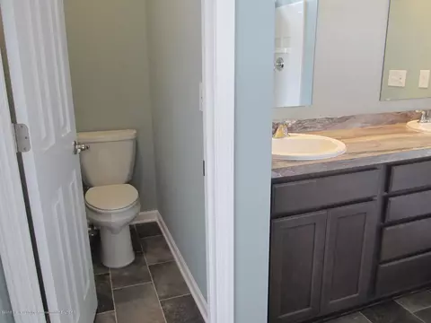 13815 Bauerle Rd, Dewitt, MI 48820 photo 17