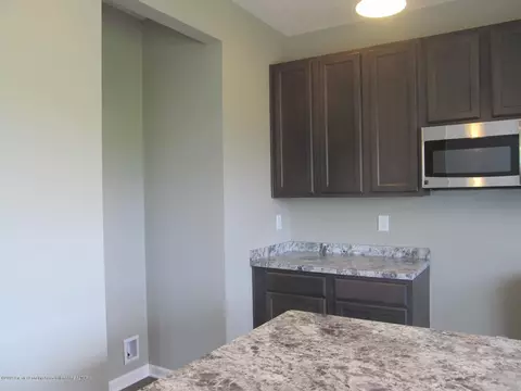 13815 Bauerle Rd, Dewitt, MI 48820 photo 6