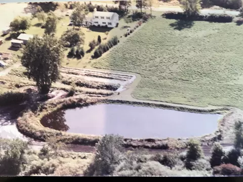 8251 S Dewitt Rd, Dewitt, MI 48820 photo 7