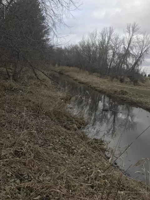 8251 S Dewitt Rd, Dewitt, MI 48820 photo 9