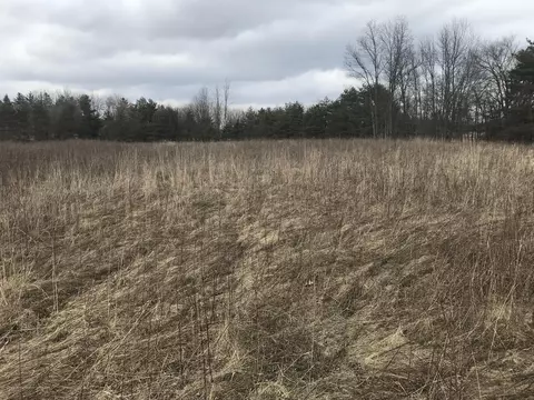 8251 S Dewitt Rd, Dewitt, MI 48820 photo 11