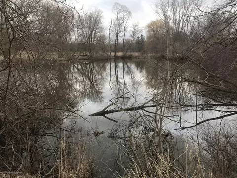 8251 S Dewitt Rd, Dewitt, MI 48820 photo 8