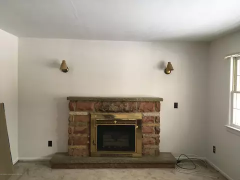 8251 S Dewitt Rd, Dewitt, MI 48820 photo 3