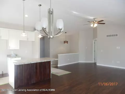 302 N Scott St, Dewitt, MI 48820 photo 8