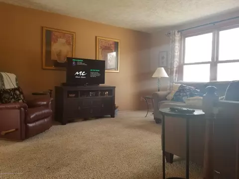 6271 High St, Haslett, MI 48840 photo 10
