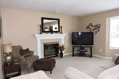 13102 Blaisdell Dr, Dewitt, MI 48820 photo 9