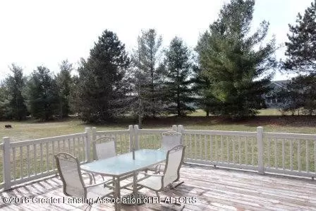 13102 Blaisdell Dr, Dewitt, MI 48820 photo 29