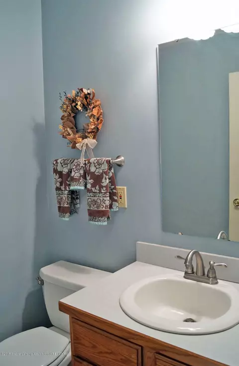 509 Windy Rush Ln, Dewitt, MI 48820 photo 18