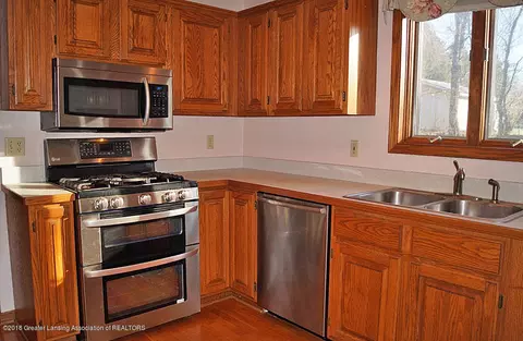 509 Windy Rush Ln, Dewitt, MI 48820 photo 9