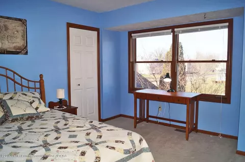 509 Windy Rush Ln, Dewitt, MI 48820 photo 23