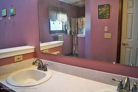 509 Windy Rush Ln, Dewitt, MI 48820 photo 22