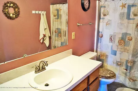 509 Windy Rush Ln, Dewitt, MI 48820 photo 25