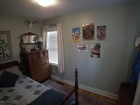207 Wilson St, Dewitt, MI 48820 photo 9