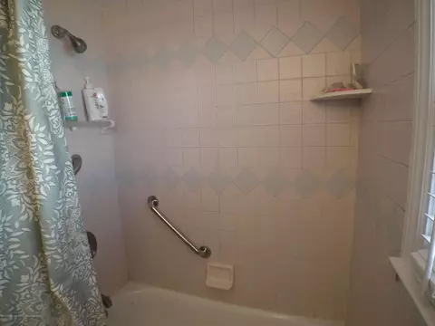 207 Wilson St, Dewitt, MI 48820 photo 15