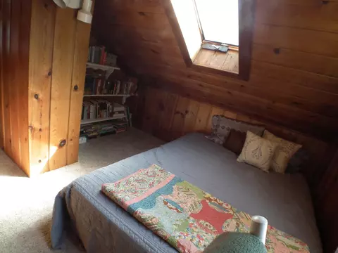 207 Wilson St, Dewitt, MI 48820 photo 19