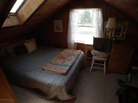207 Wilson St, Dewitt, MI 48820 photo 18