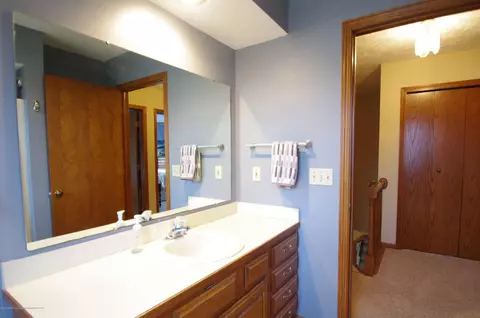 13161 Willow Grove Dr, Dewitt, MI 48820 photo 36