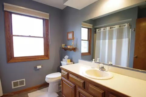 13161 Willow Grove Dr, Dewitt, MI 48820 photo 35
