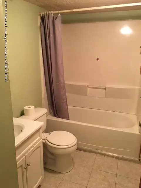 203 E Fulton St, Perrinton, MI 48871 photo 7