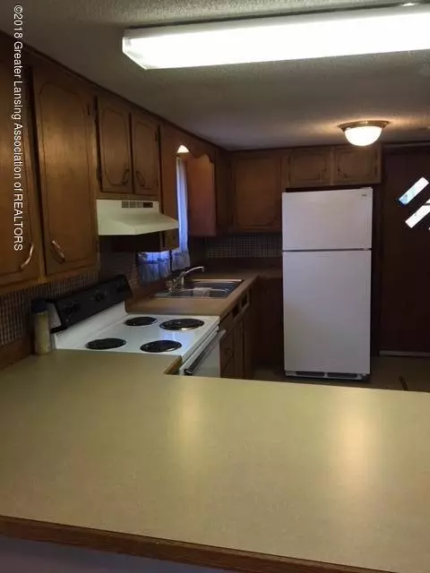 203 E Fulton St, Perrinton, MI 48871 photo 3