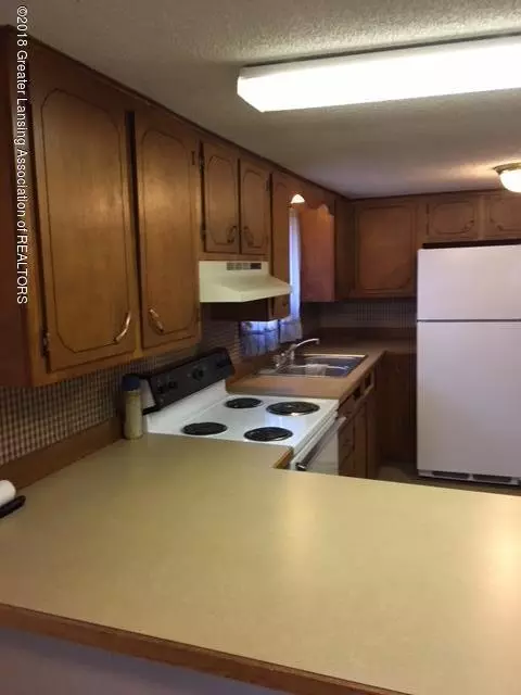 203 E Fulton St, Perrinton, MI 48871 photo 4