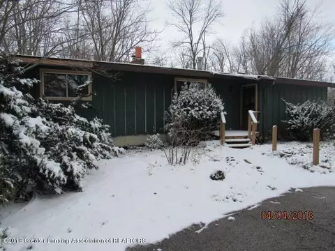 13136 Francis Rd, Dewitt, MI 48820 photo 1