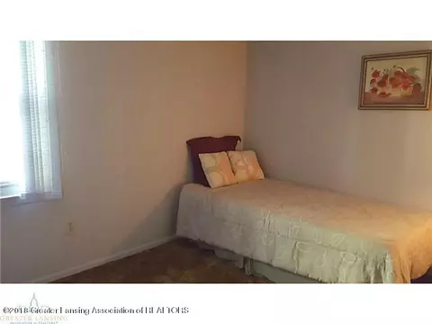 12048 Pine Ridge Dr, Perry, MI 48872 photo 17