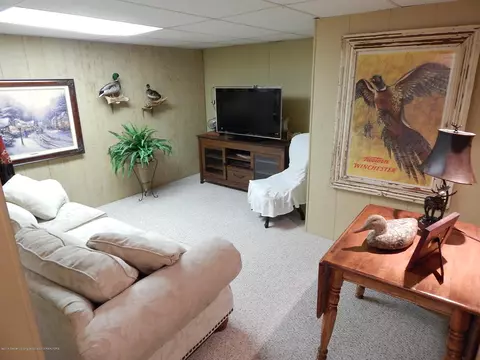 4200 Driftwood Dr, Dewitt, MI 48820 photo 31