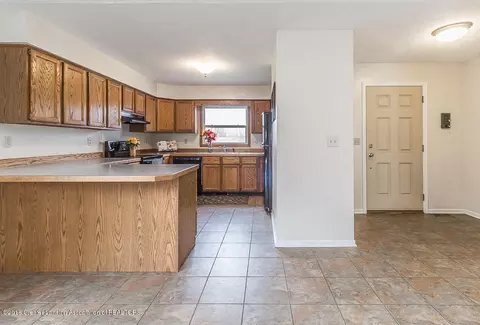1217 Redpole Dr, Dewitt, MI 48820 photo 4