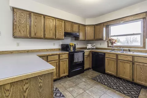 1217 Redpole Dr, Dewitt, MI 48820 photo 3