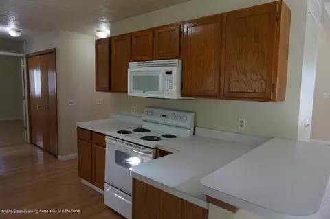 12806 Houghton Dr, Dewitt, MI 48820 photo 8